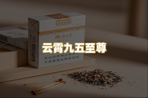 云霄九五至尊